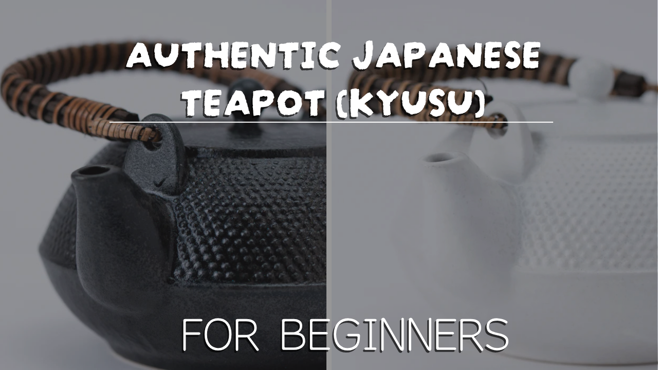 Authentic Japanese Teapot (Kyusu) for Beginners