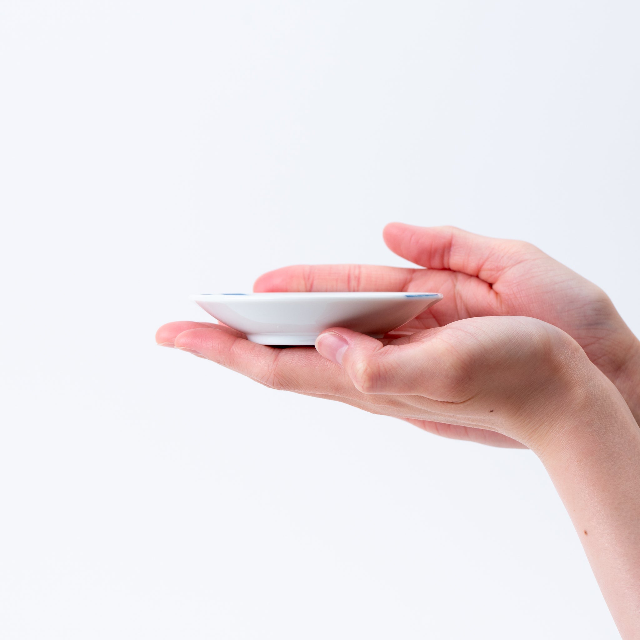 Kasumi Mist Pattern Small Plate