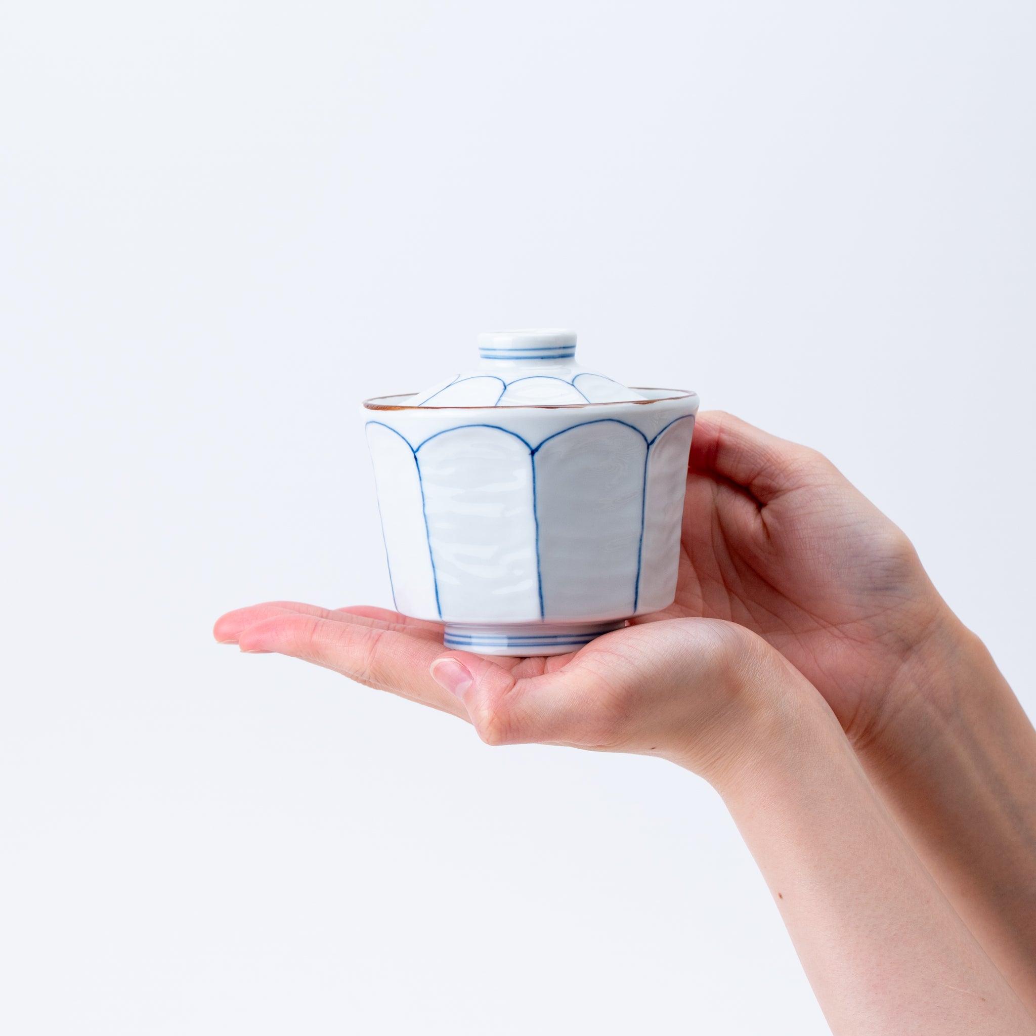 Stripe Lidded Steamed Bowl