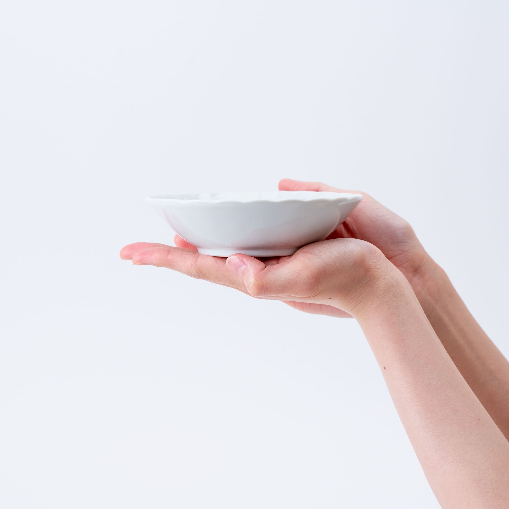 Swallow Motif Scallop Bowl