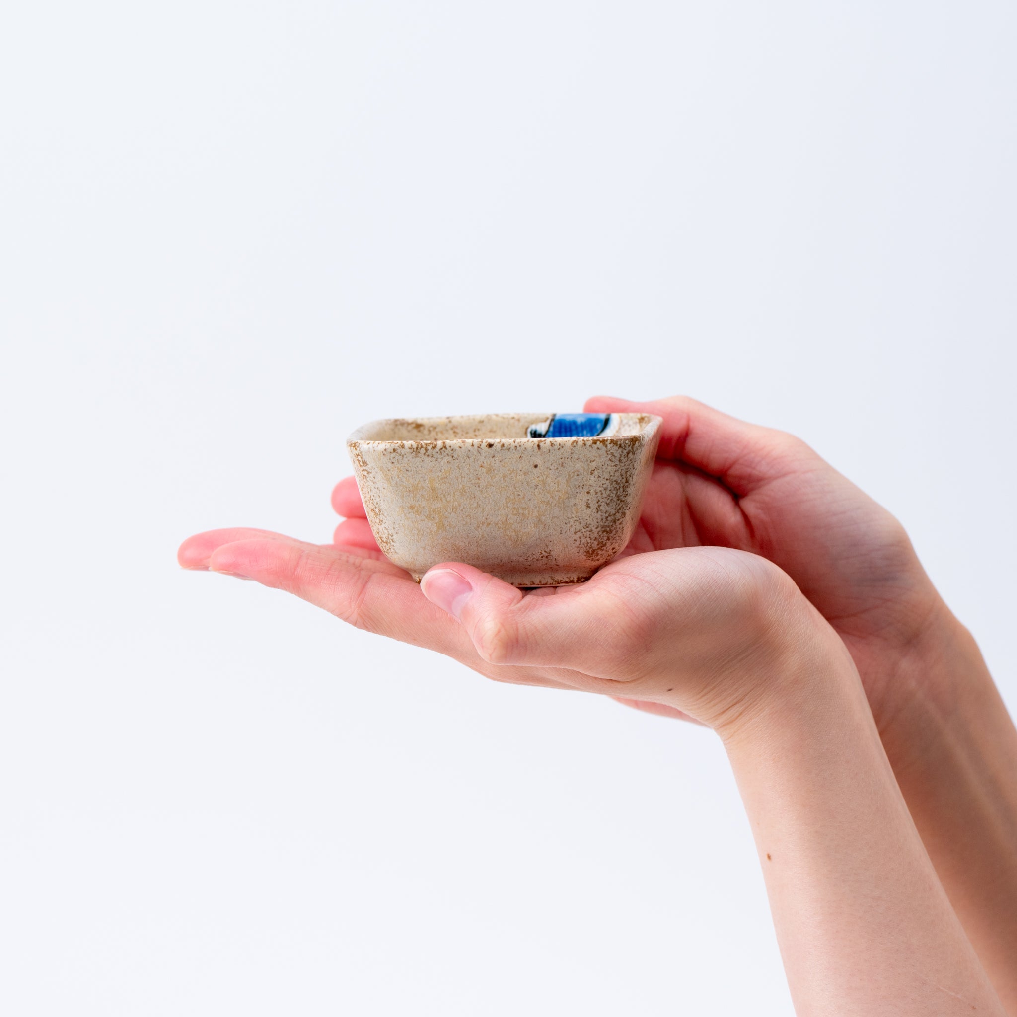 Egg Plant Kobachi Small Bowl