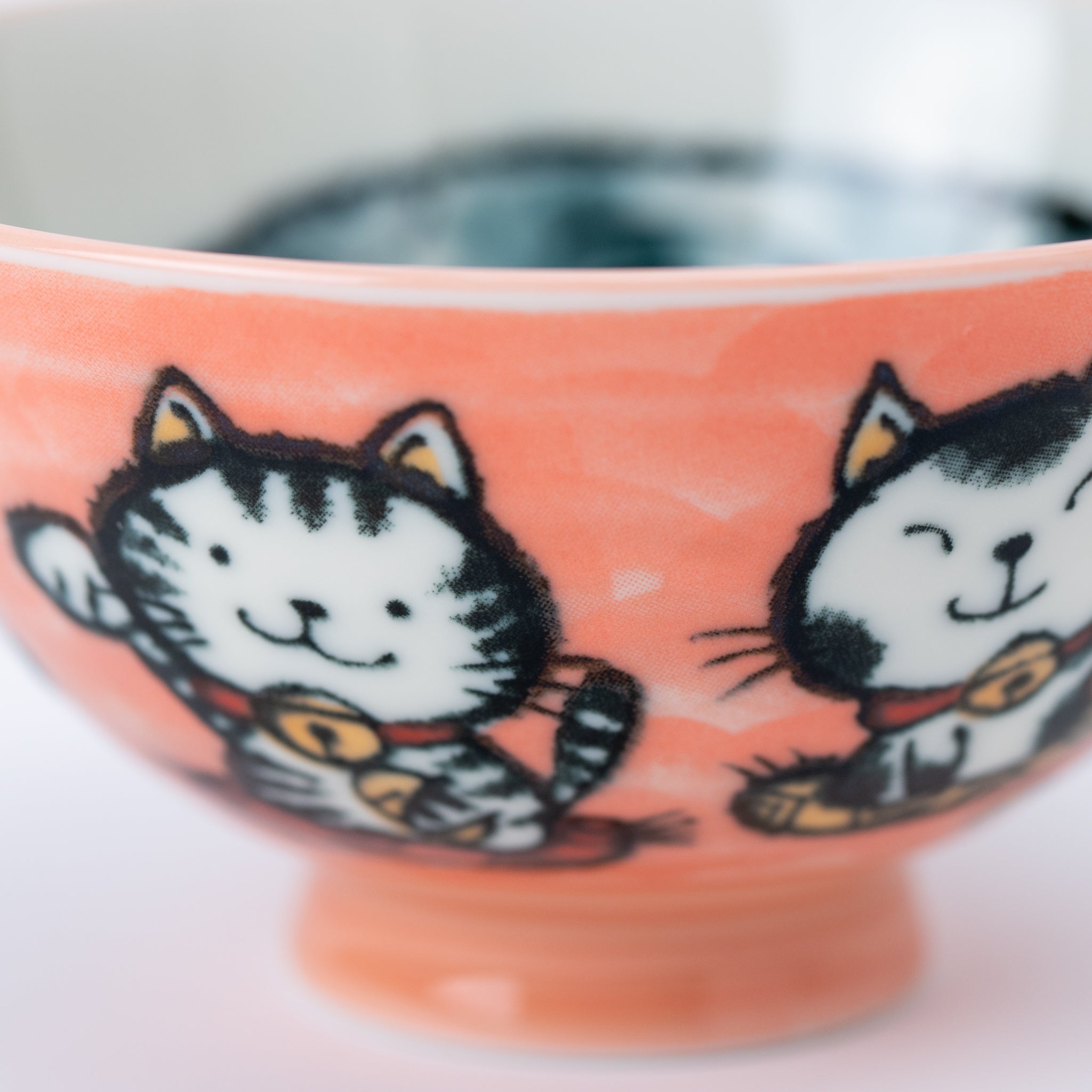 Maneki Neko Rice Bowl
