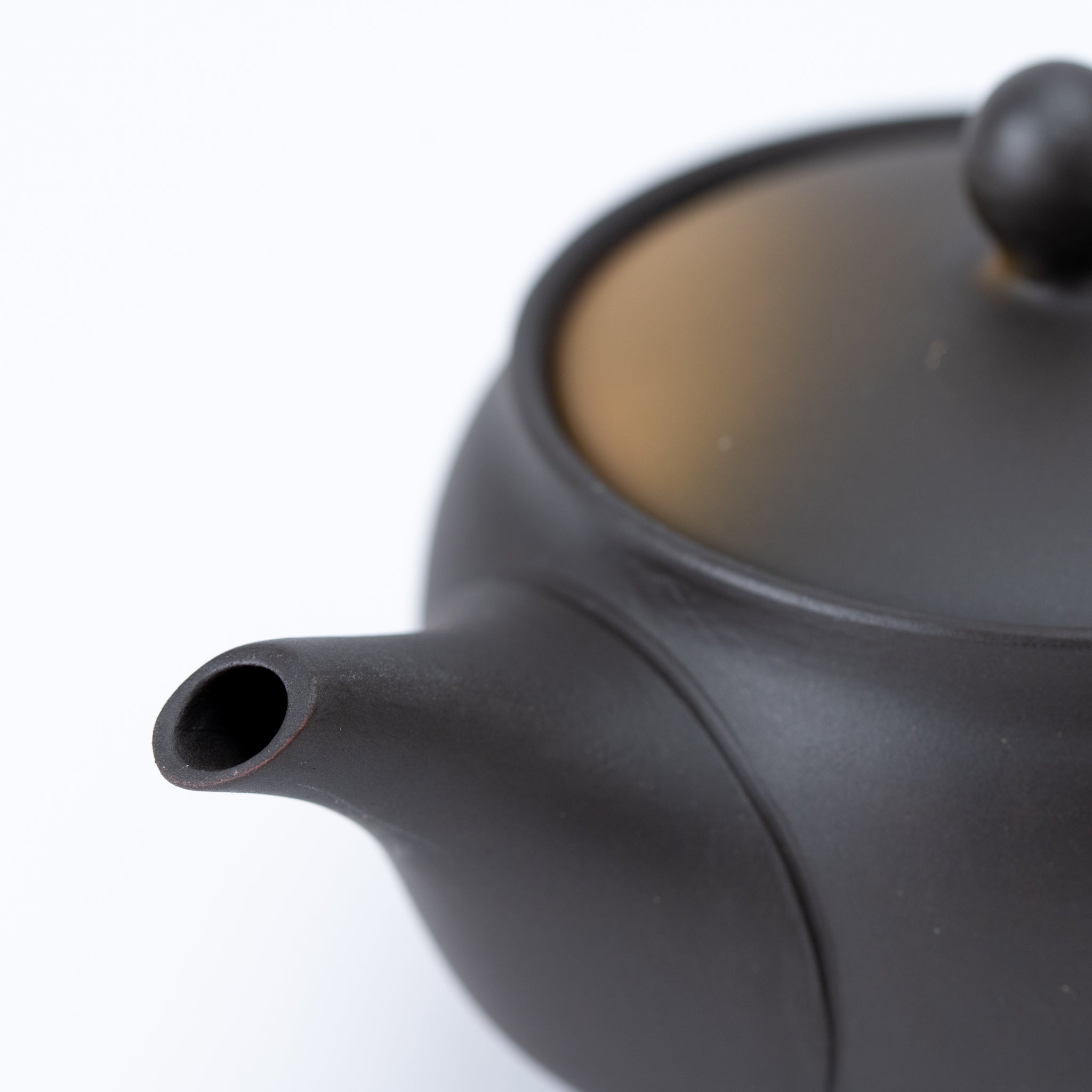 Tokoname Hand Painted Floral Motif Teapot