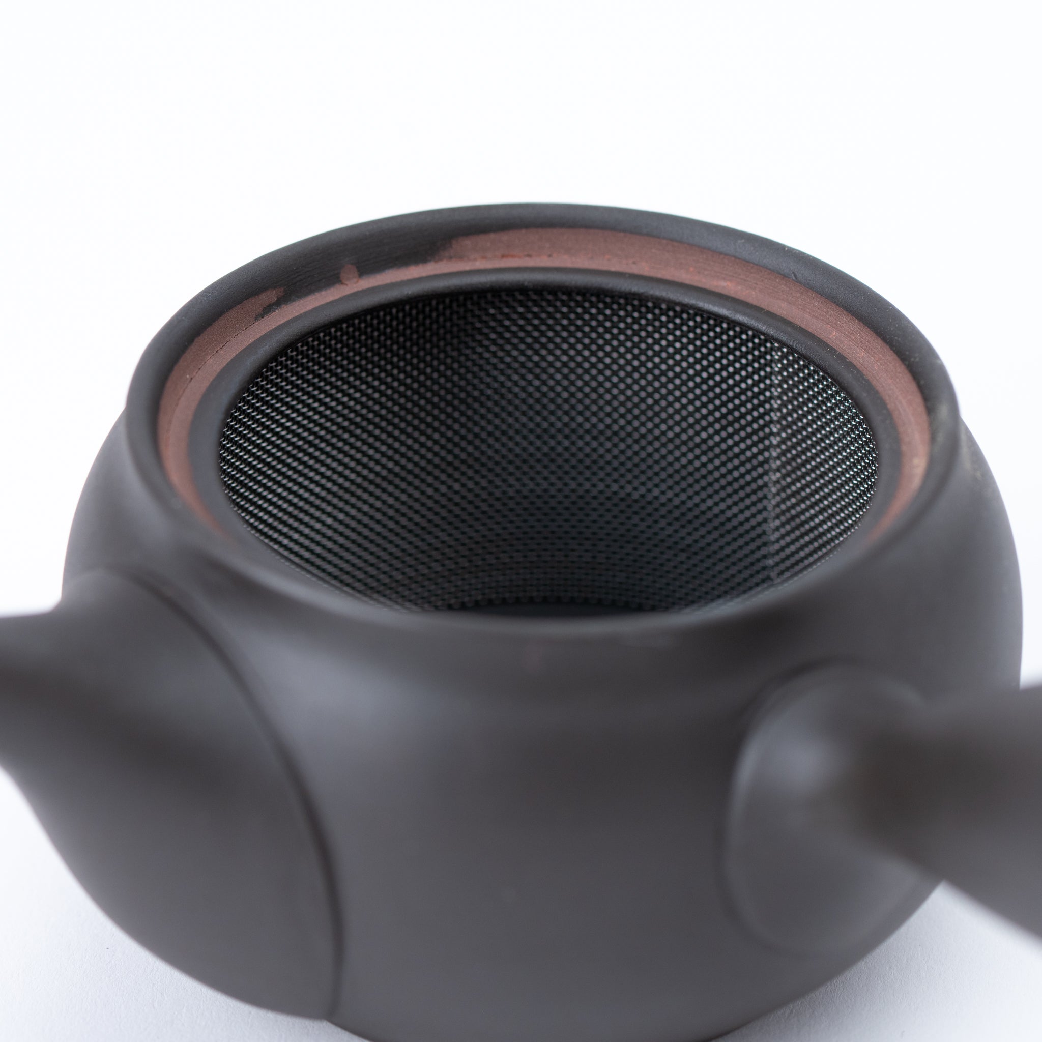 Tokoname Hand Painted Floral Motif Teapot