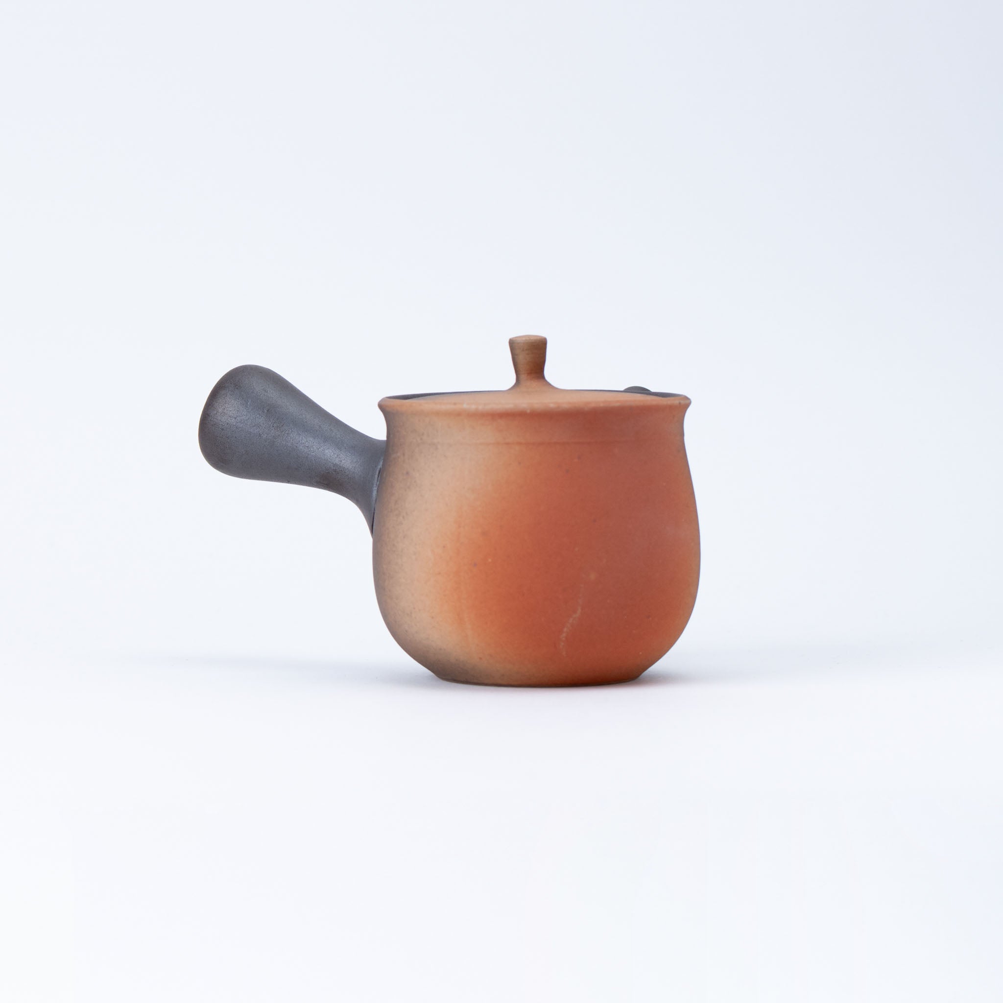 Tokoname Kiln-Transformed Teapot