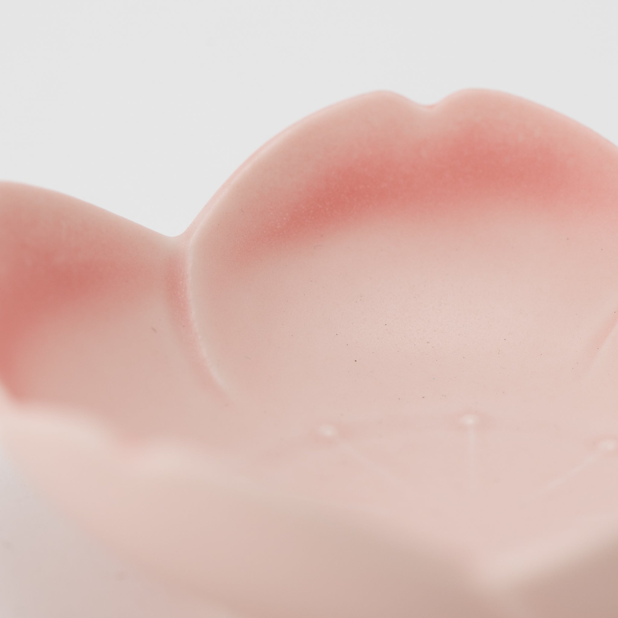 Sakura Cherry Blossom Pink Shallow Bowl