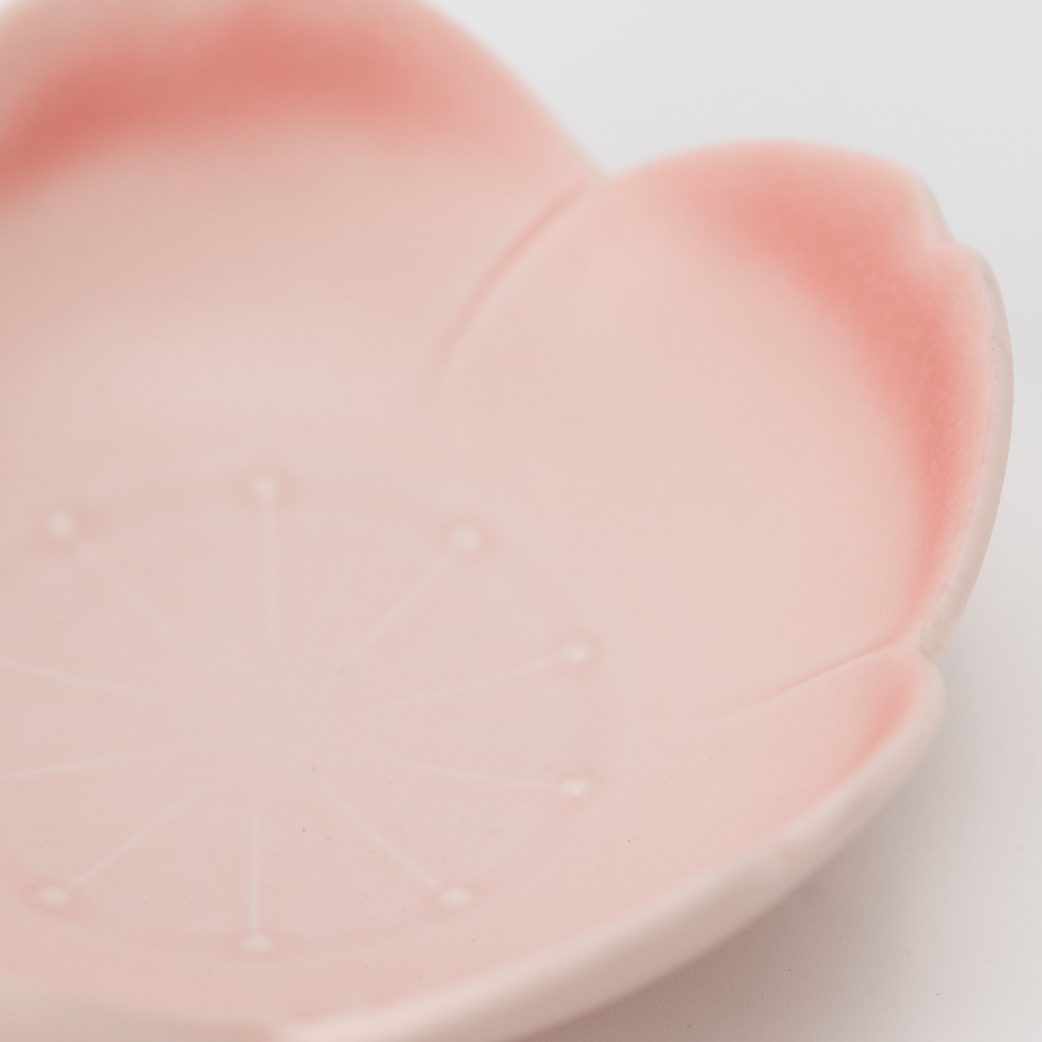 Sakura Cherry Blossom Pink Shallow Bowl