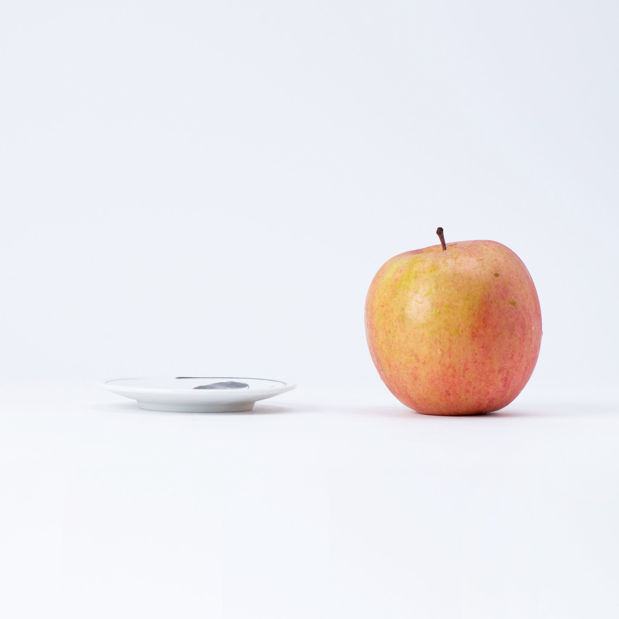 Playful Cats Small Plate Set