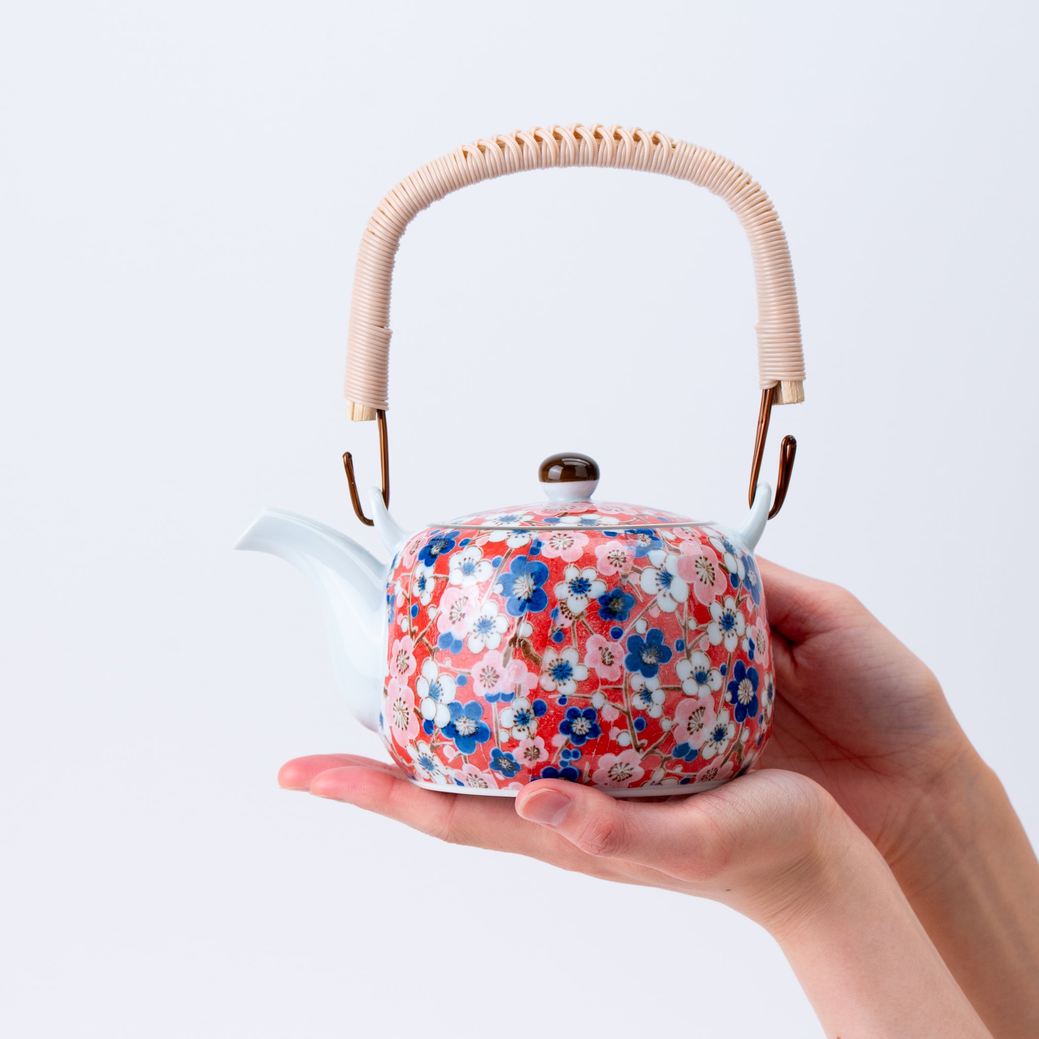 Colorful Blossom Teapot (with Tea Strainer) & Yunomi Teacup Set