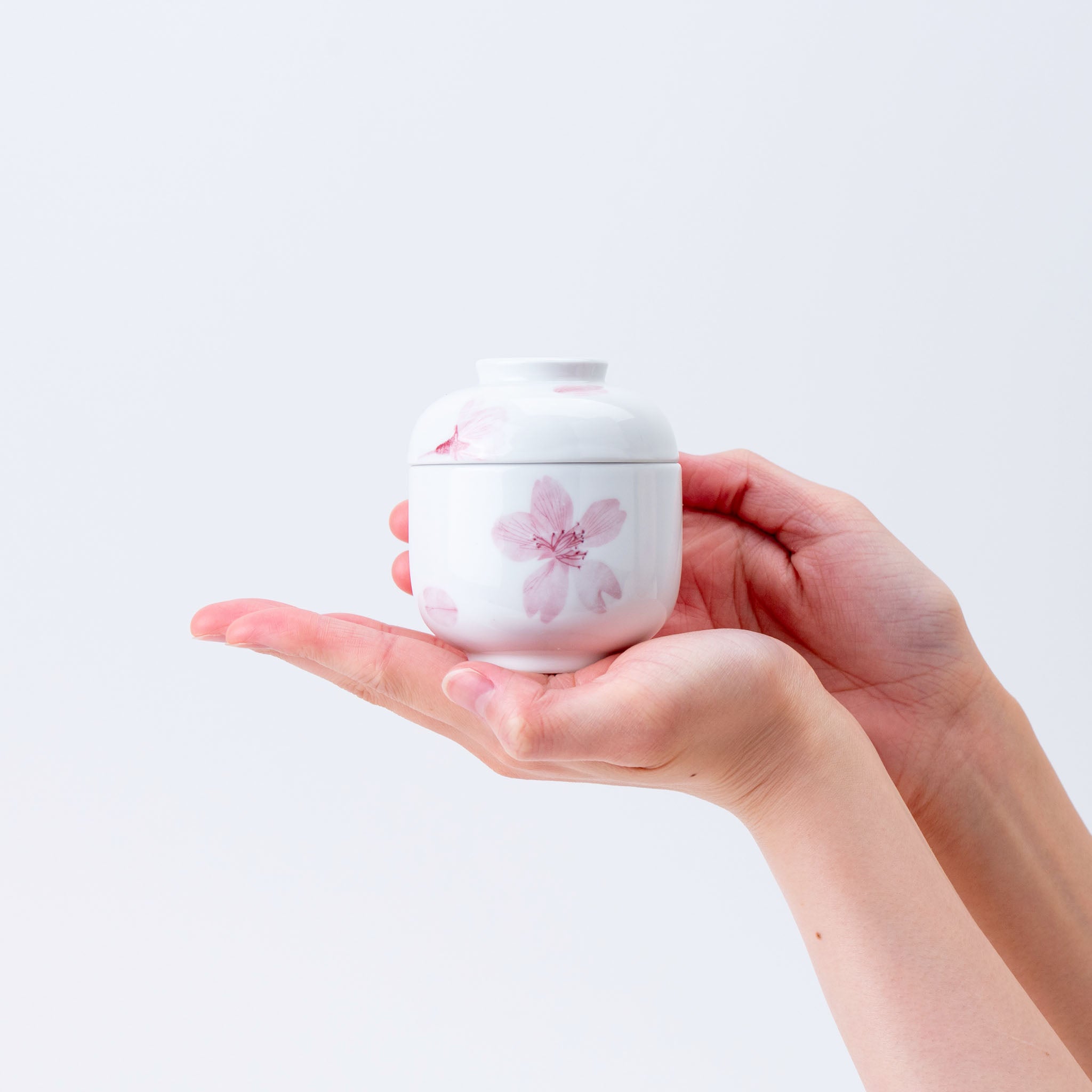 Painted Sakura Chawanmushi Lidded Bowl