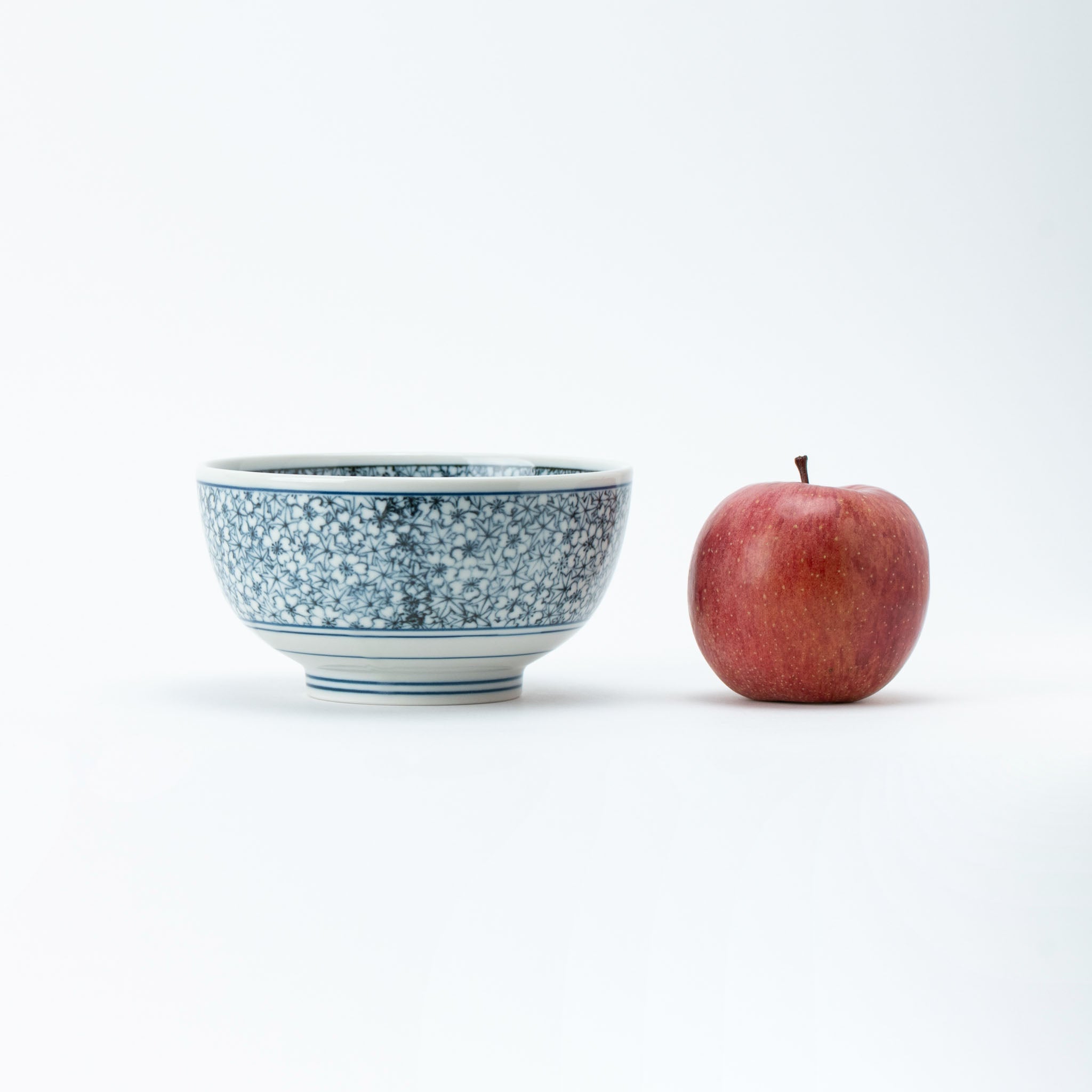 Yoshino Kyoto-Style Donburi Bowl