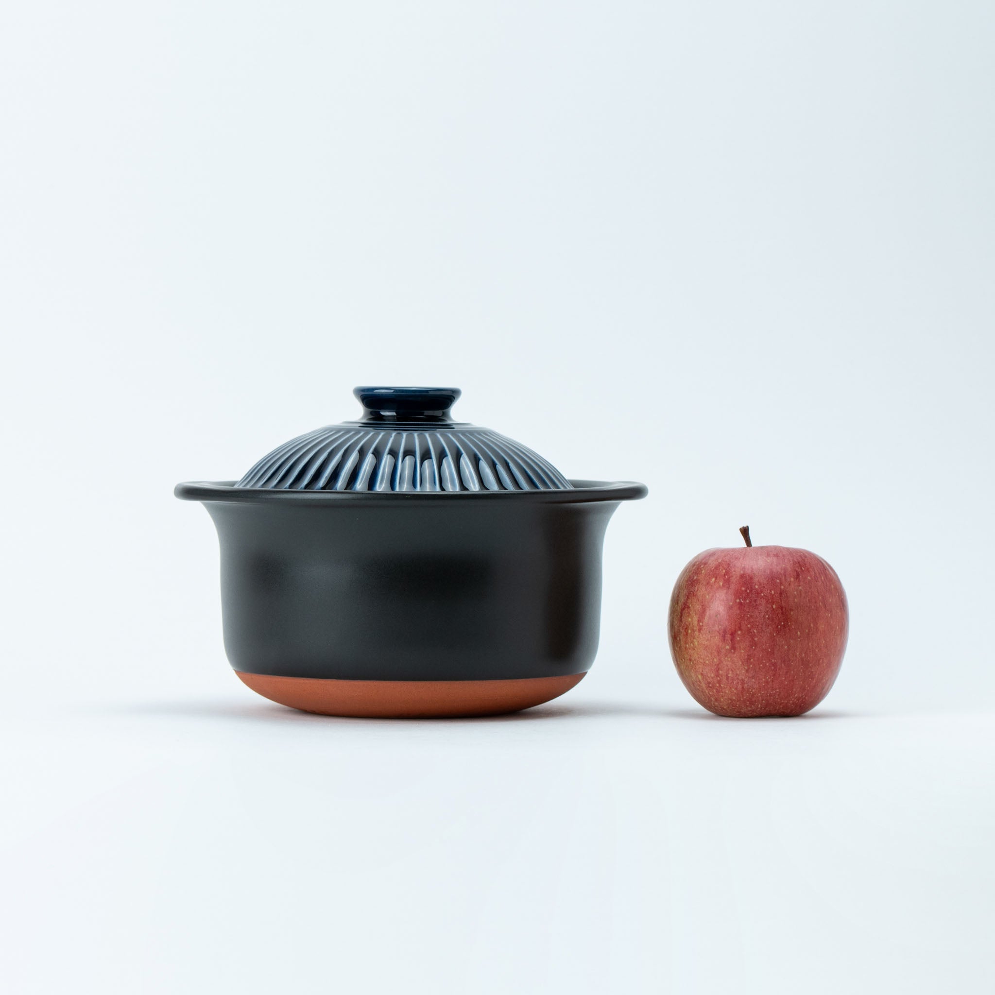 Ginpo Kikka Ruri Banko Ware Rice Cooker Pot