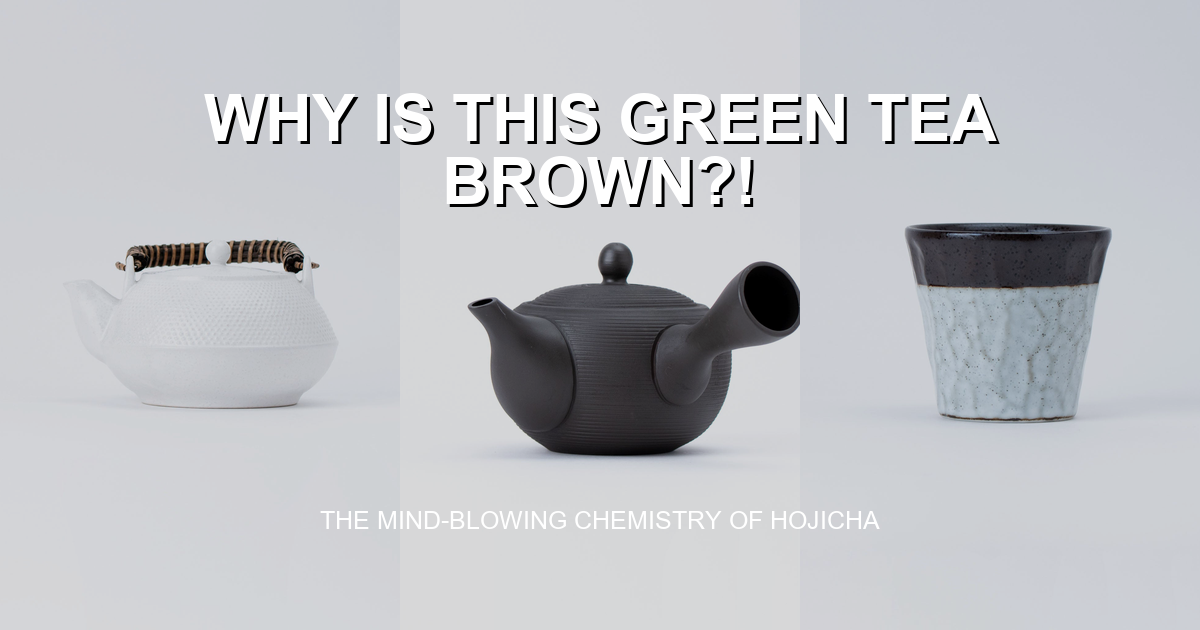 Sencha and Hojicha: Which One is Right