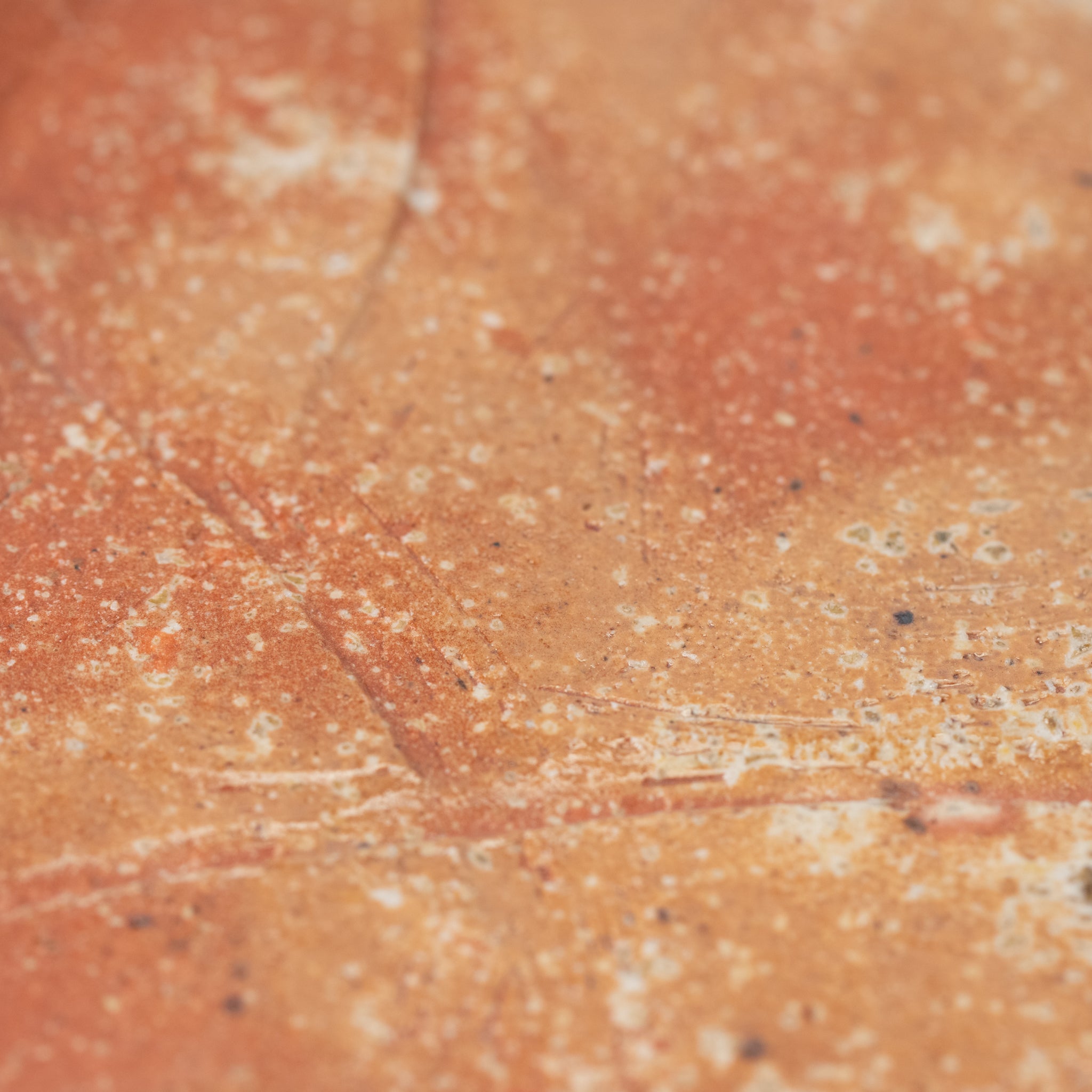 Scarlet Square Plate