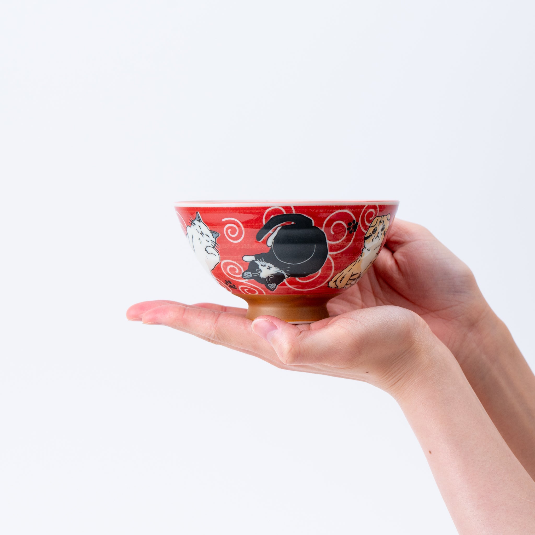 Cat Carnival Rice Bowl