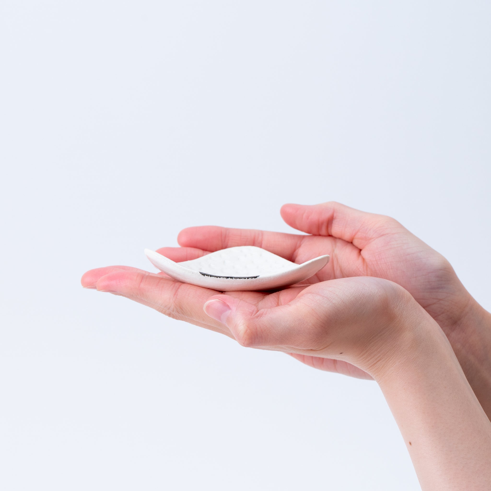 Onigiri Rice Ball Small Plate