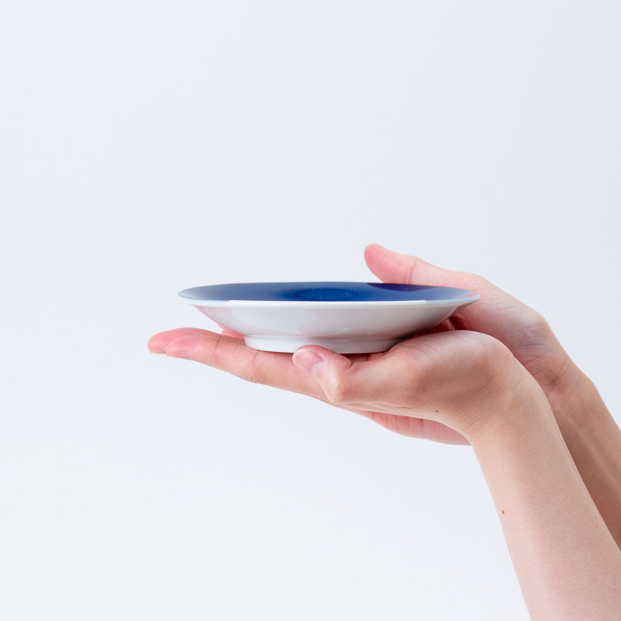 Polar Bear Medium Plate