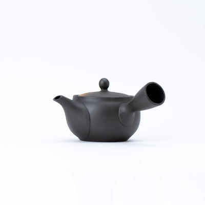 Tokoname-yaki Black Clay Teapot