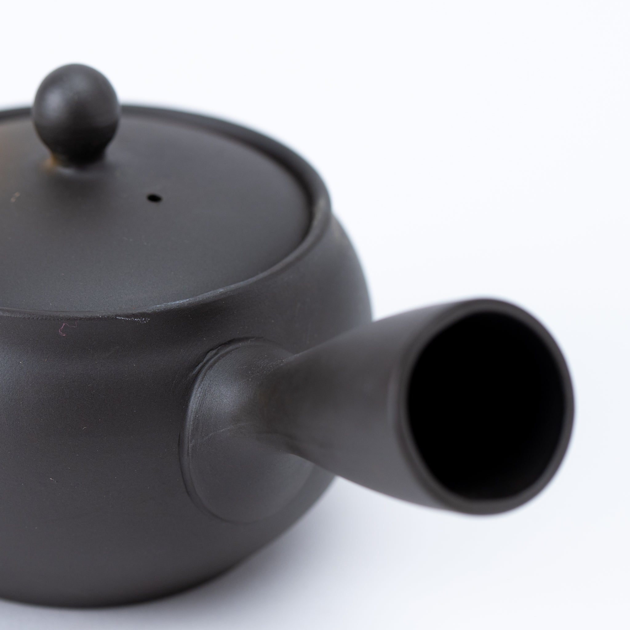 Tokoname Hand Painted Floral Motif Teapot