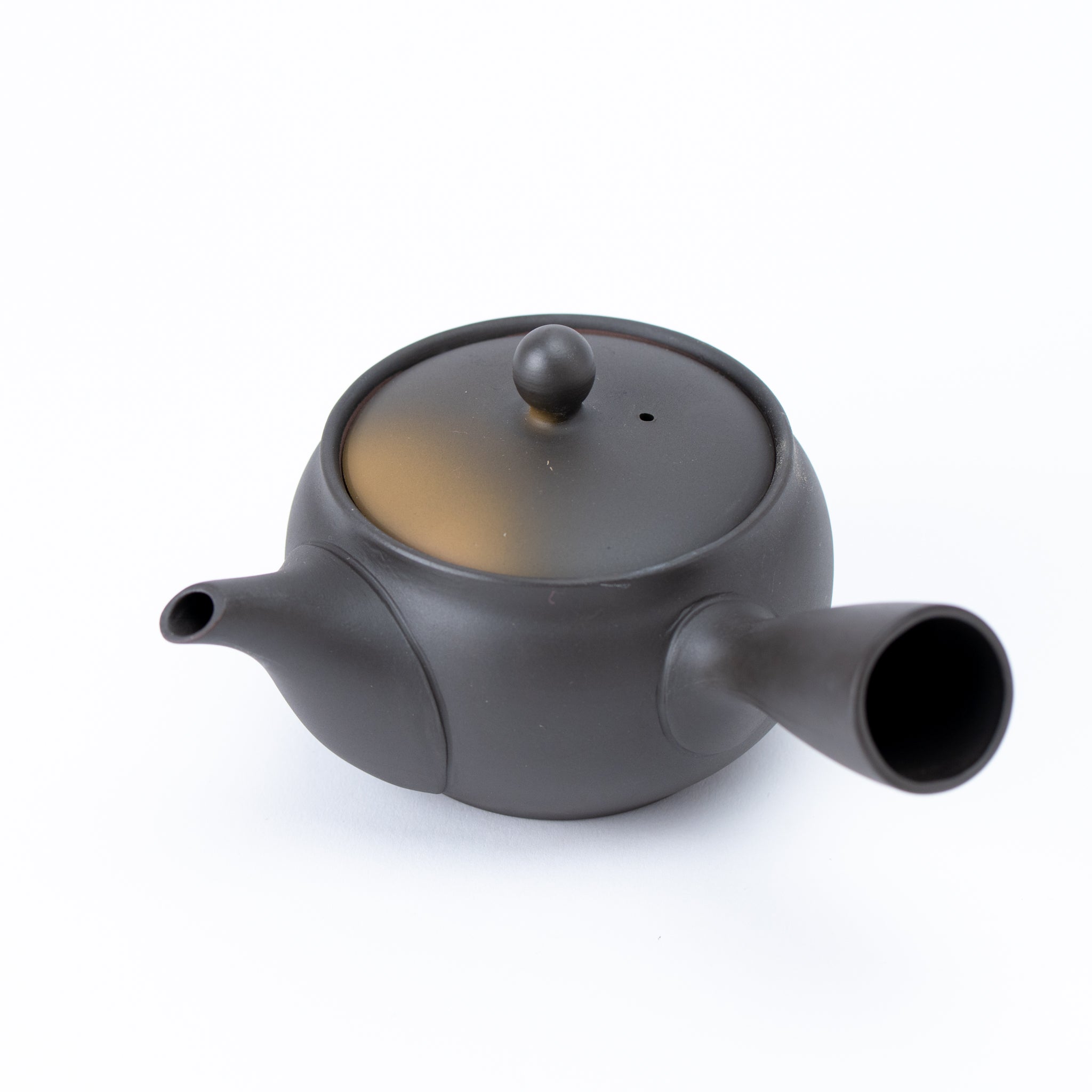 Tokoname Hand Painted Floral Motif Teapot