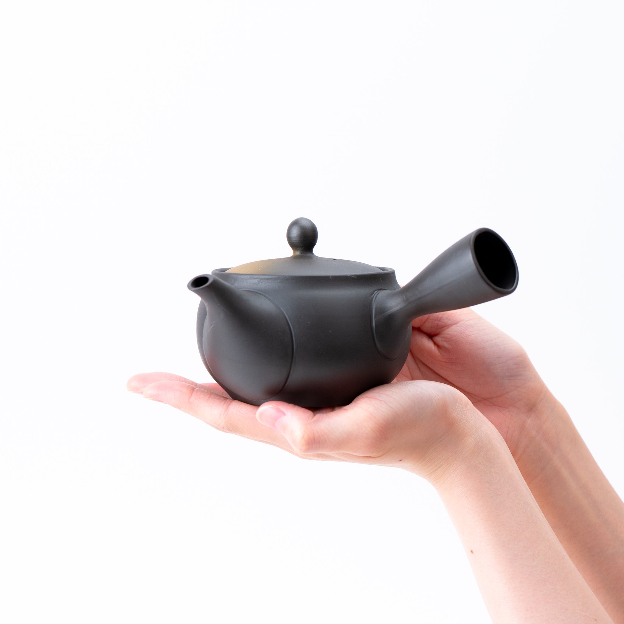 Tokoname Hand Painted Floral Motif Teapot