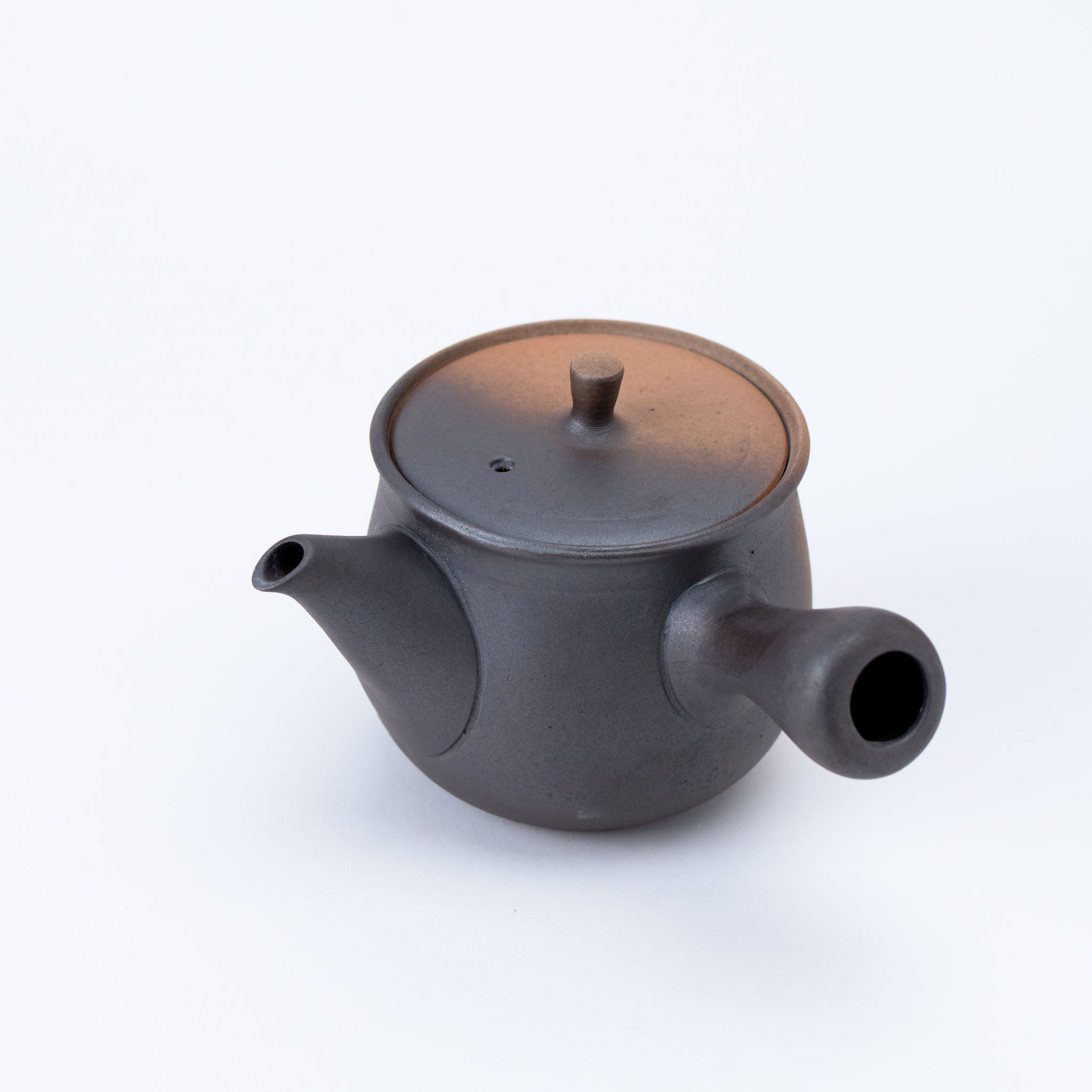 Tokoname Kiln-Transformed Teapot