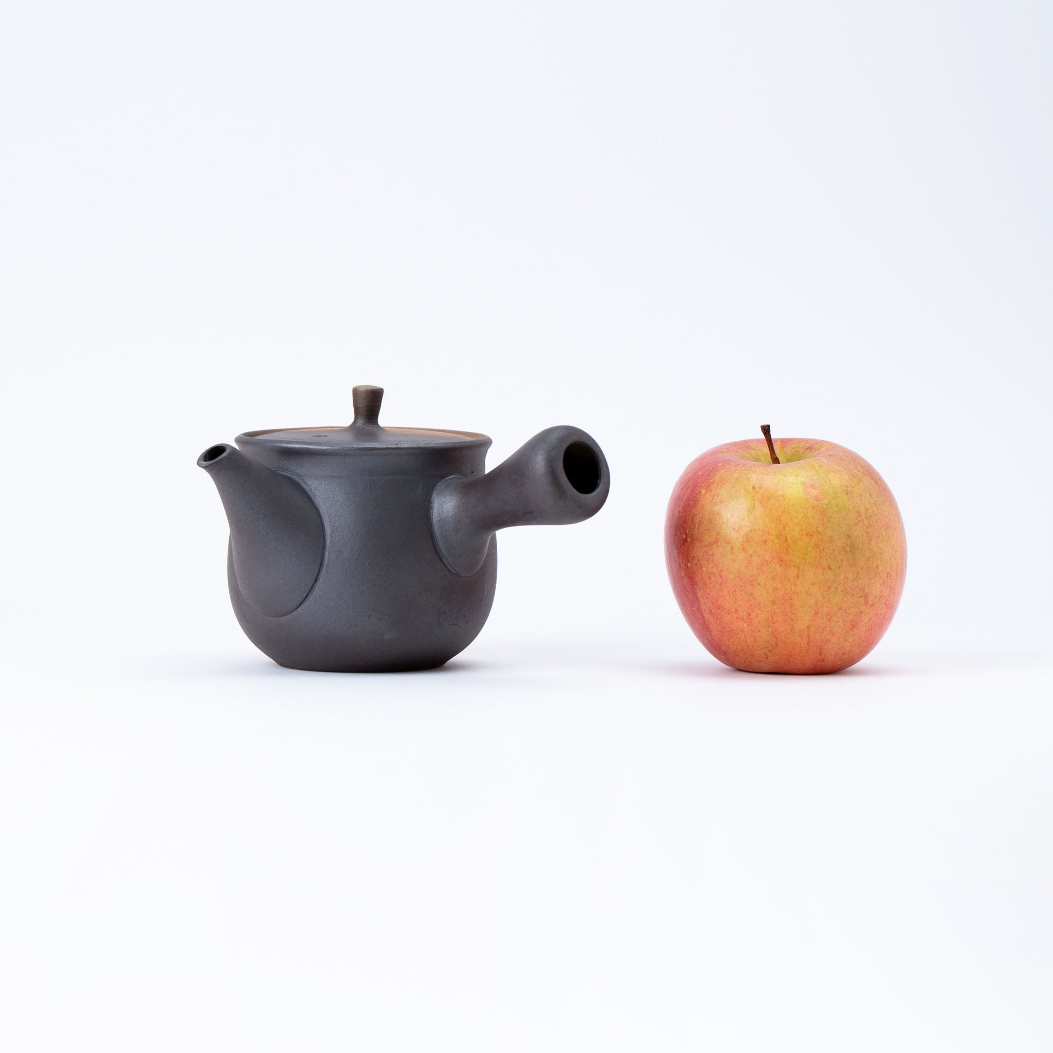 Tokoname Kiln-Transformed Teapot