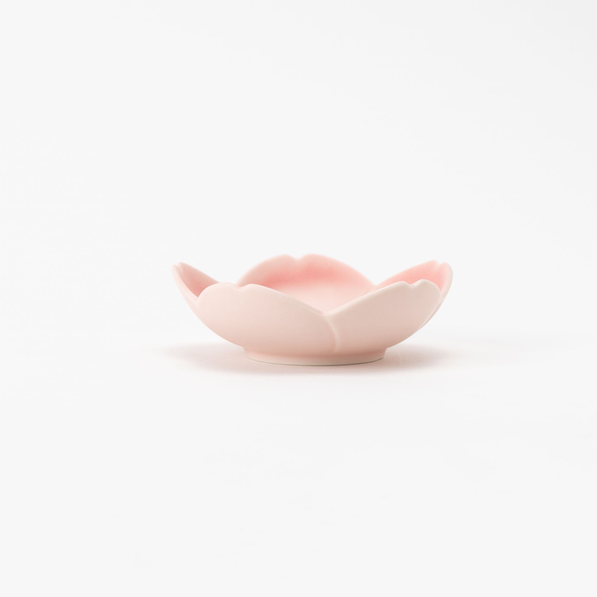 Sakura Cherry Blossom Pink Shallow Bowl