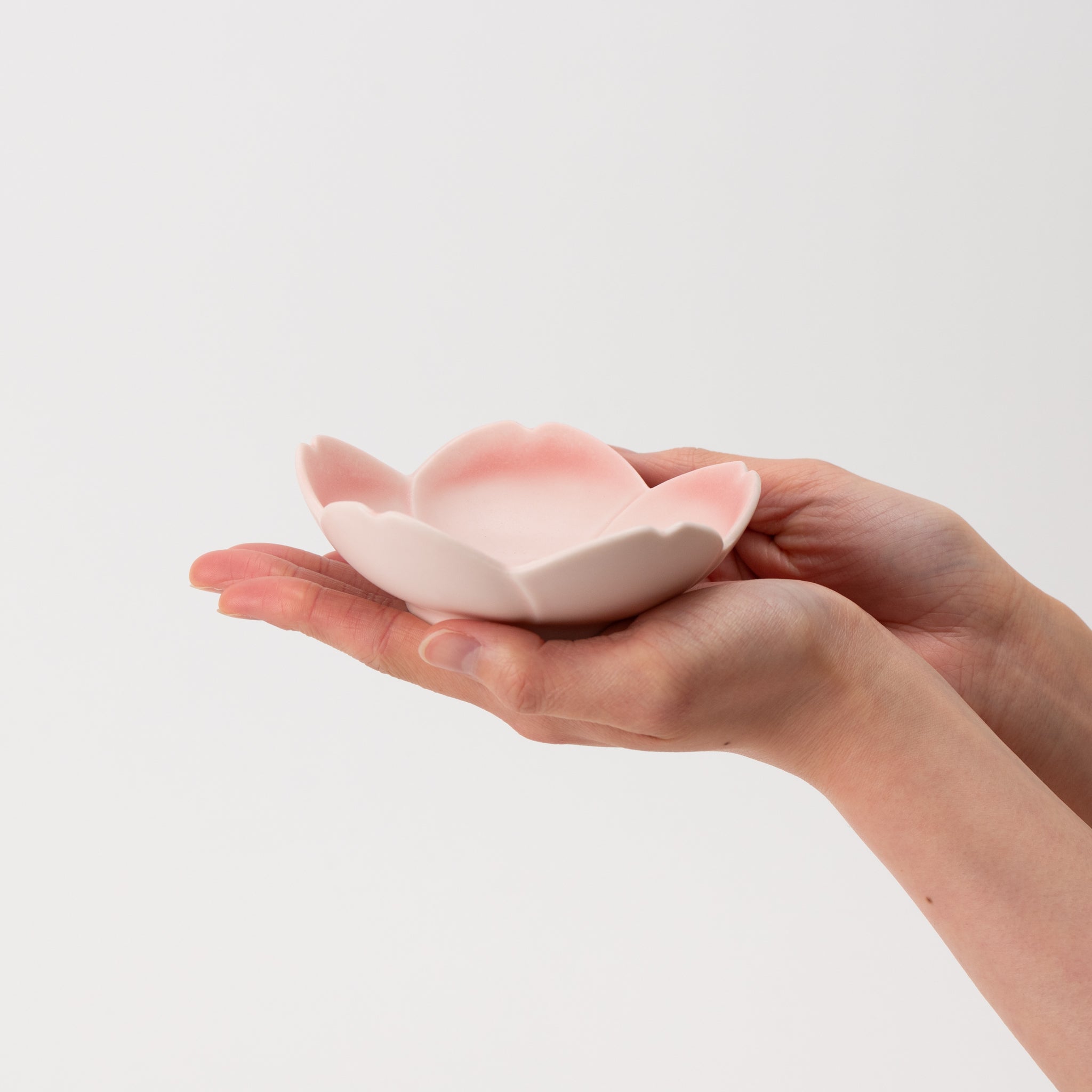 Sakura Cherry Blossom Pink Shallow Bowl