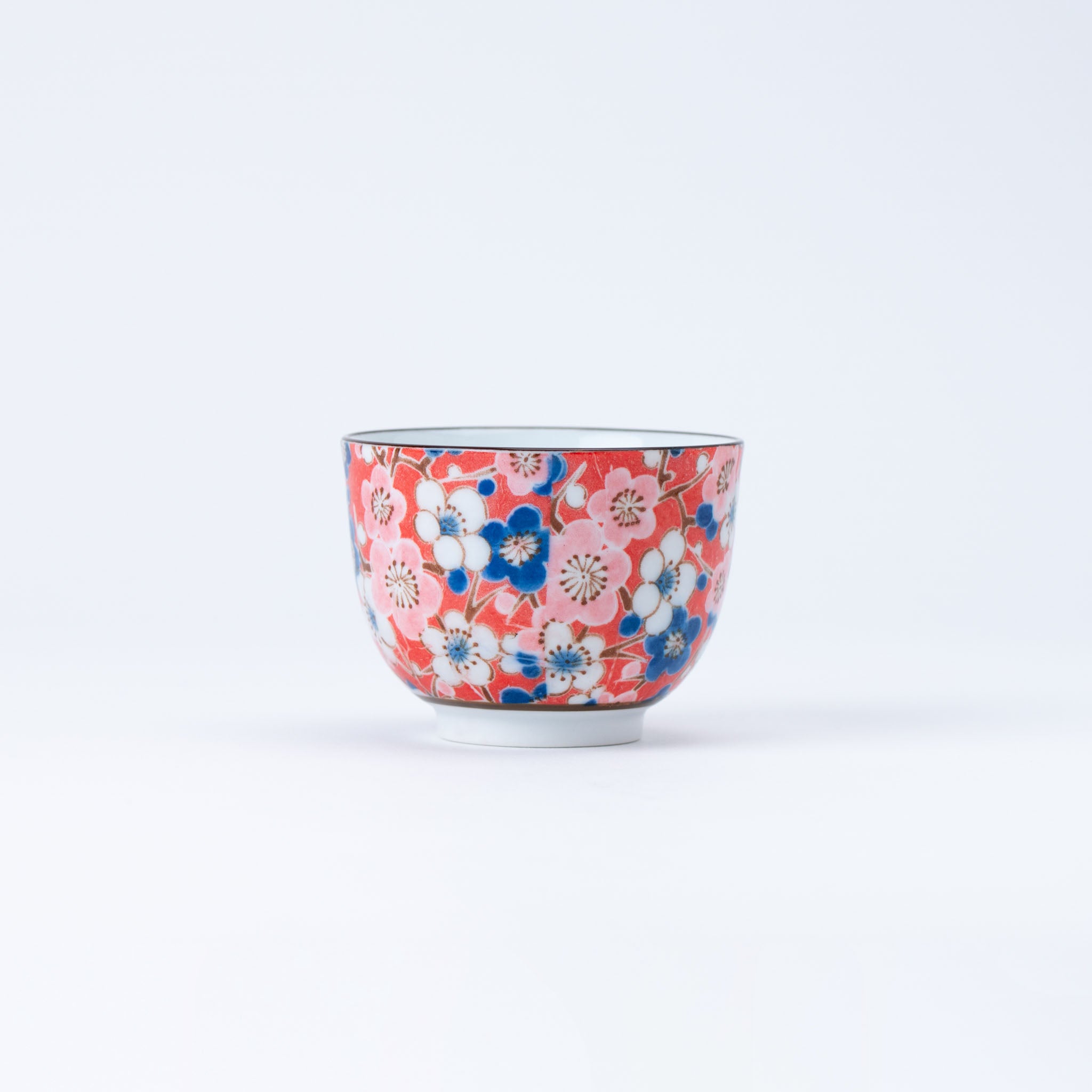 Handcrafted Japanese Ume Plum Blossom Kyusu Teapot & Yunomi Teacup Set
