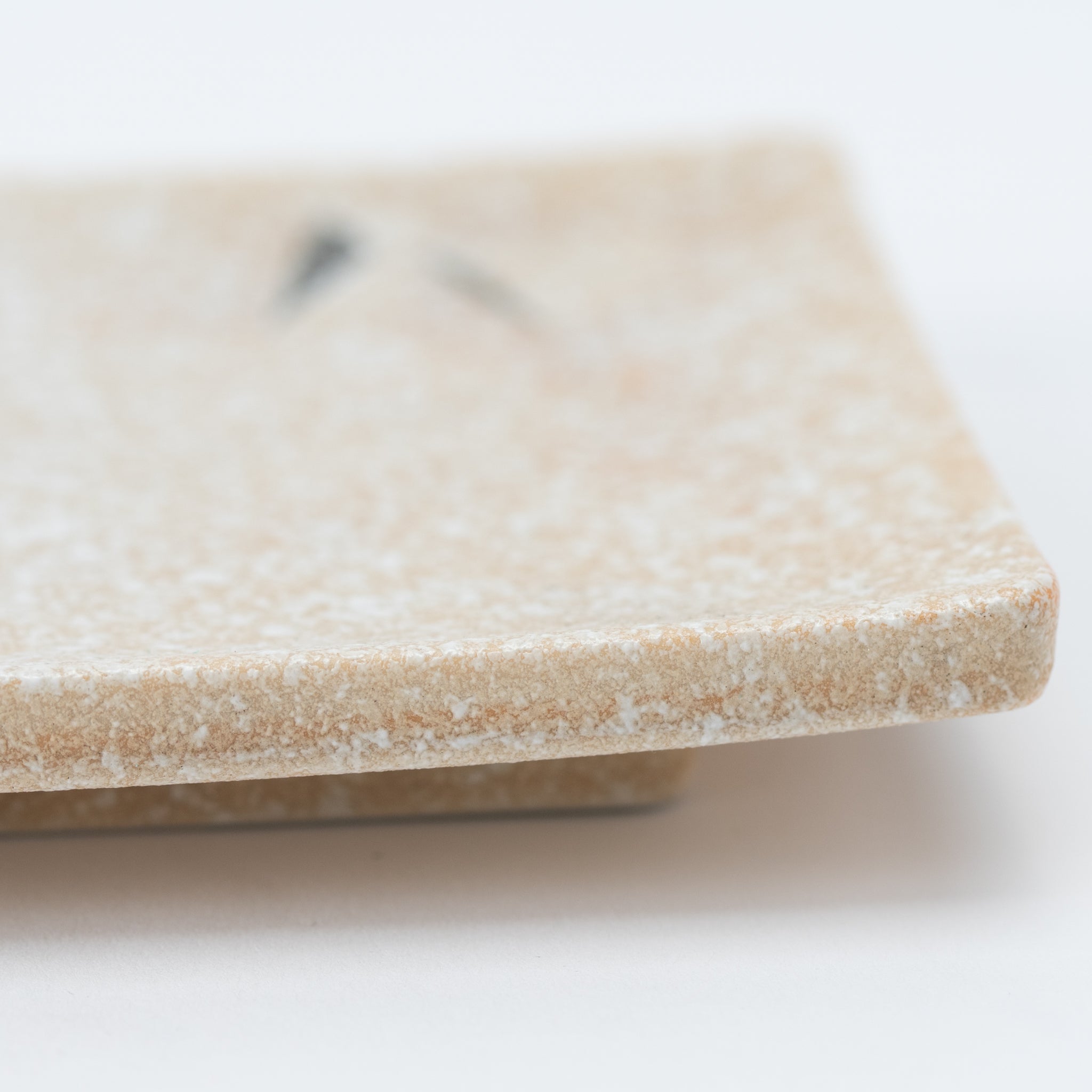 Ishiyaki Bamboo-Leaf Rectangular Dish