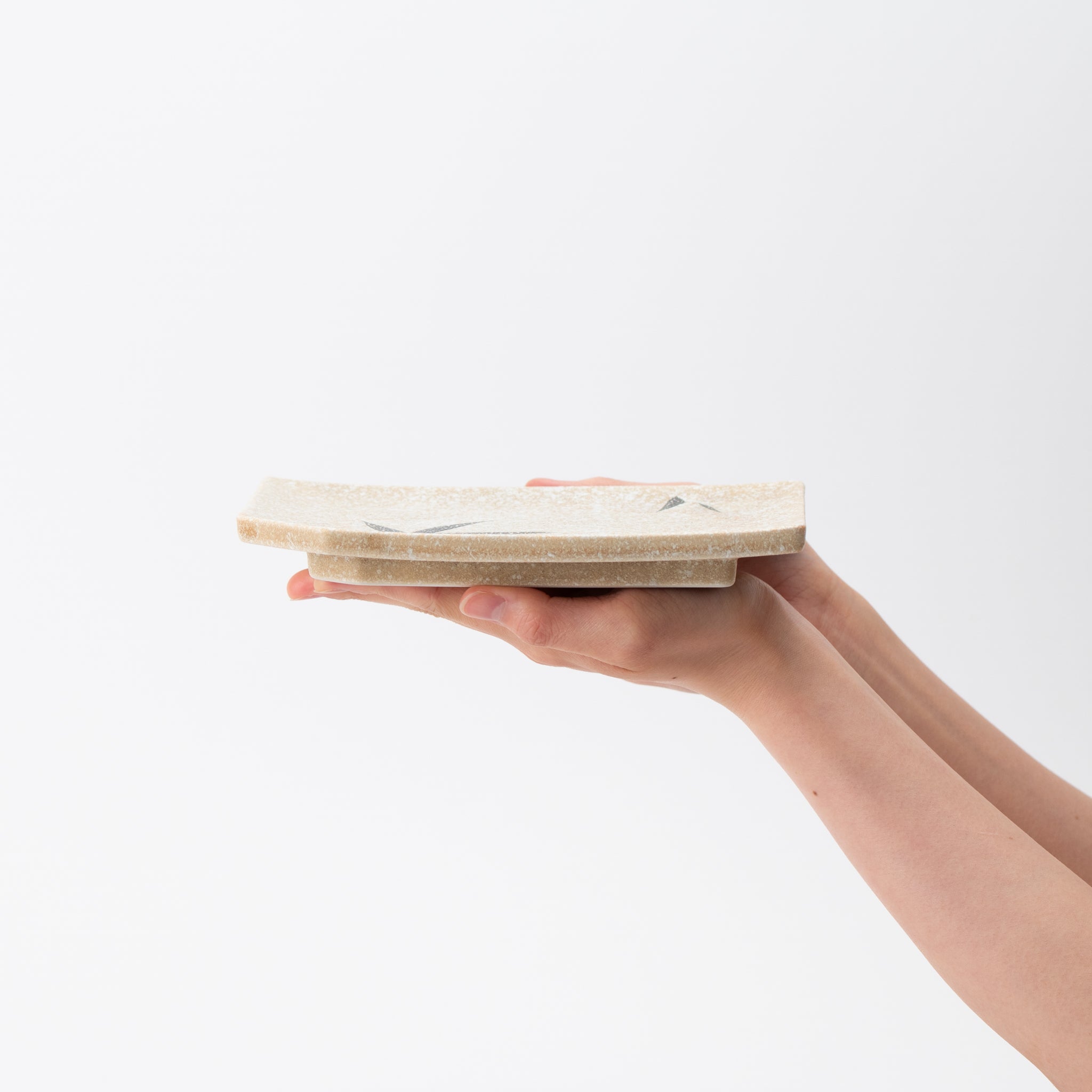 Ishiyaki Bamboo-Leaf Rectangular Dish