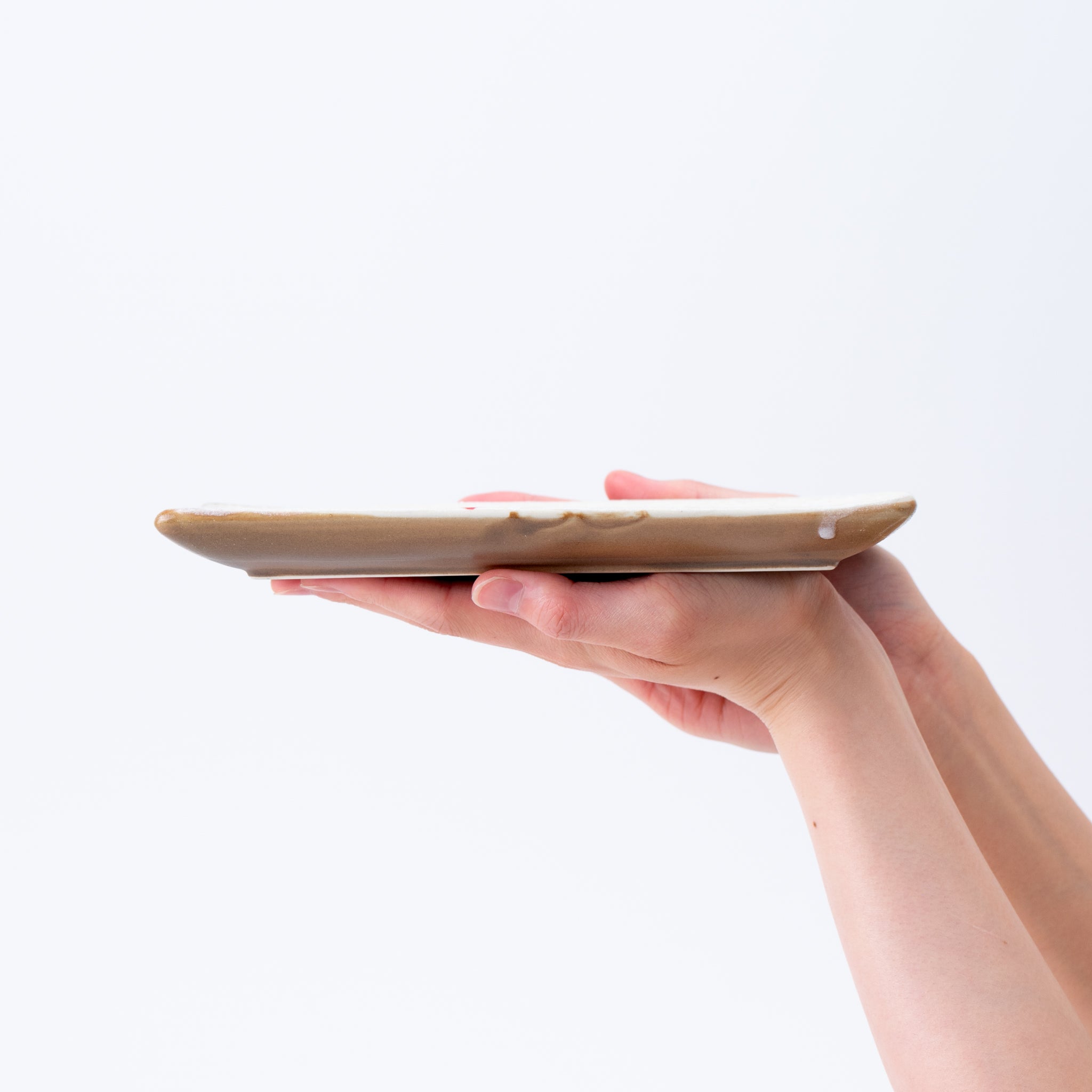 Rectangular Plate – Sakura Petal Drift