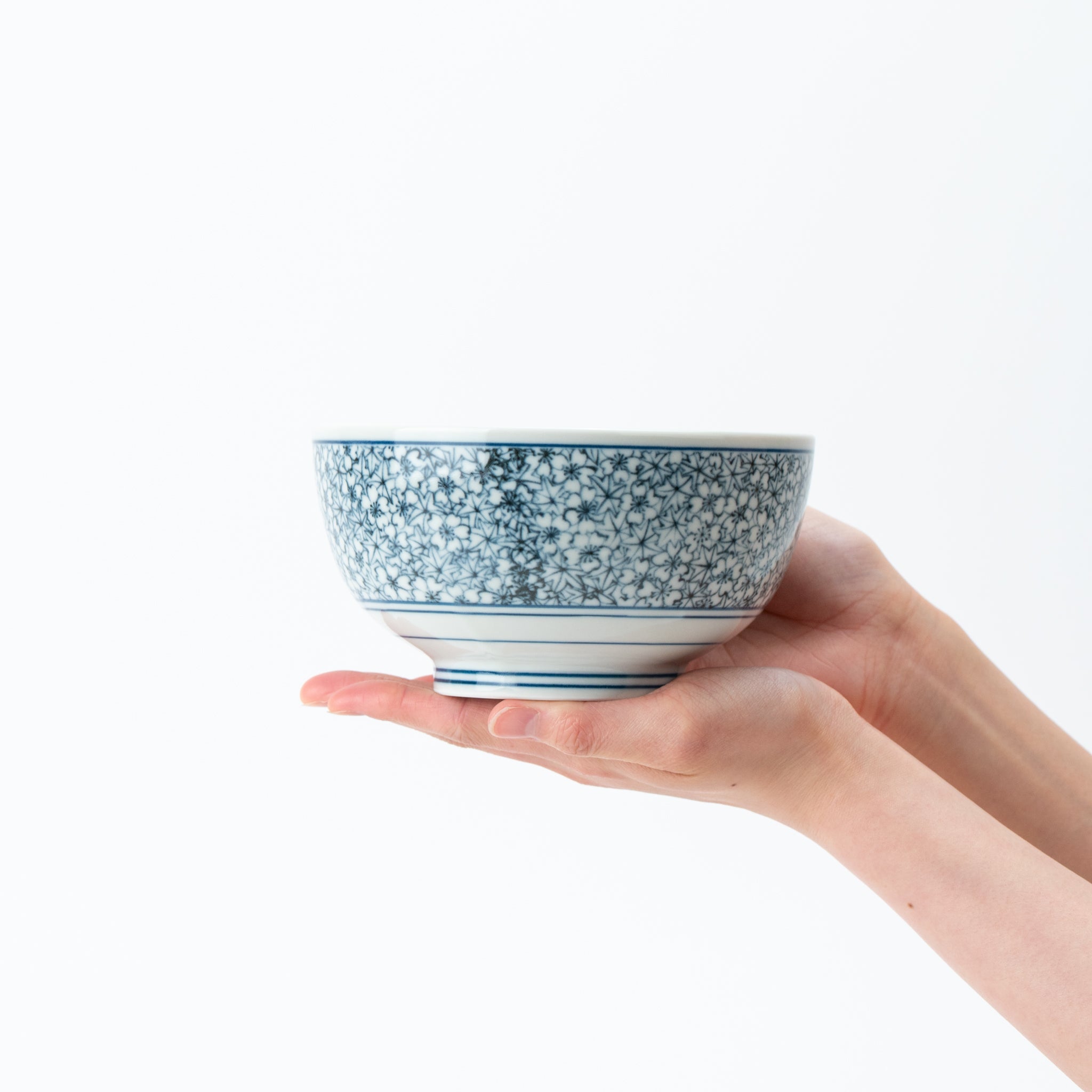 Yoshino Kyoto-Style Donburi Bowl