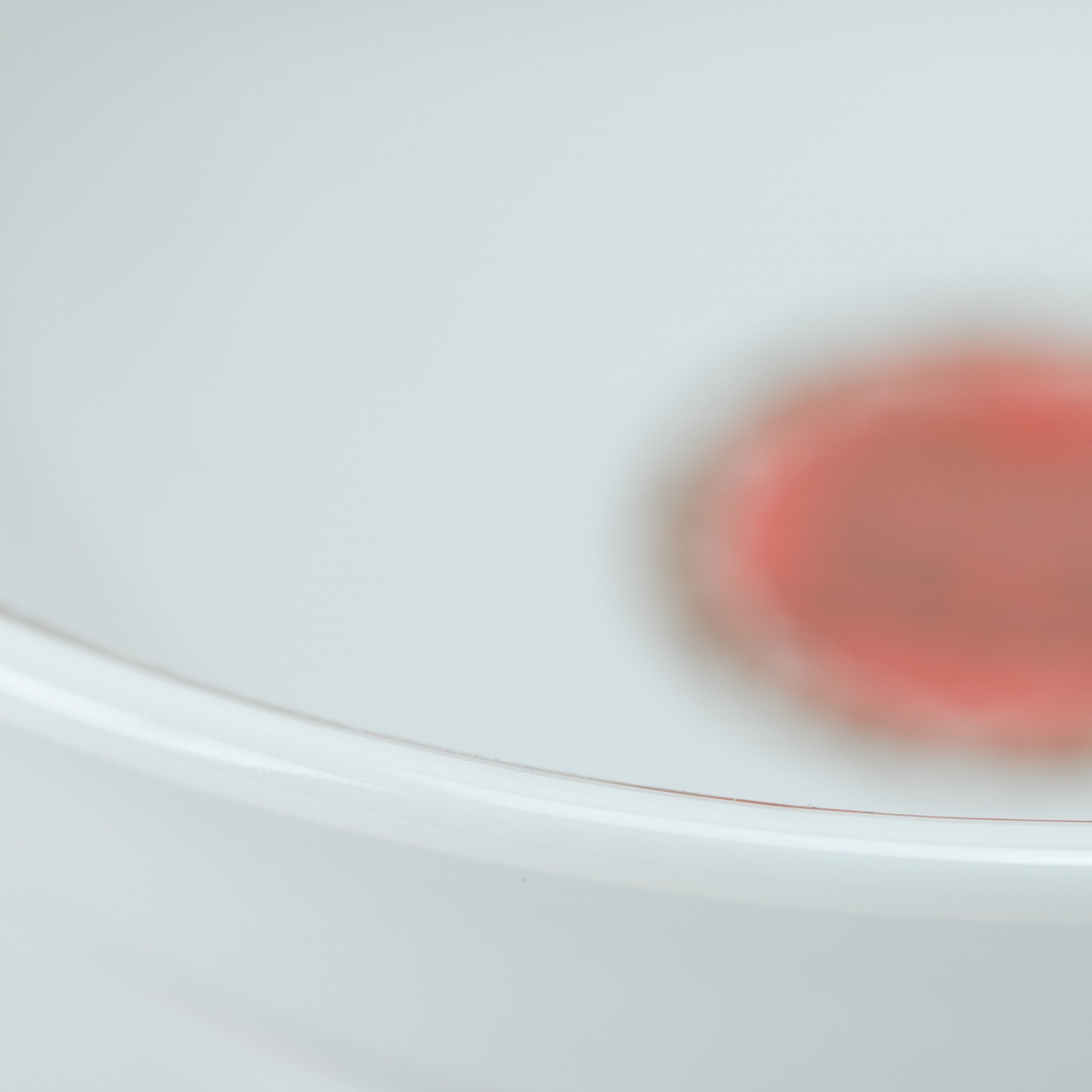 Red Pheonix In-Glaze Ramen Bowl